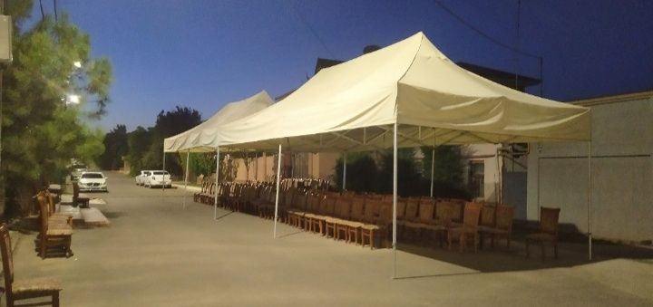 Дафн жаноза janoza mashina