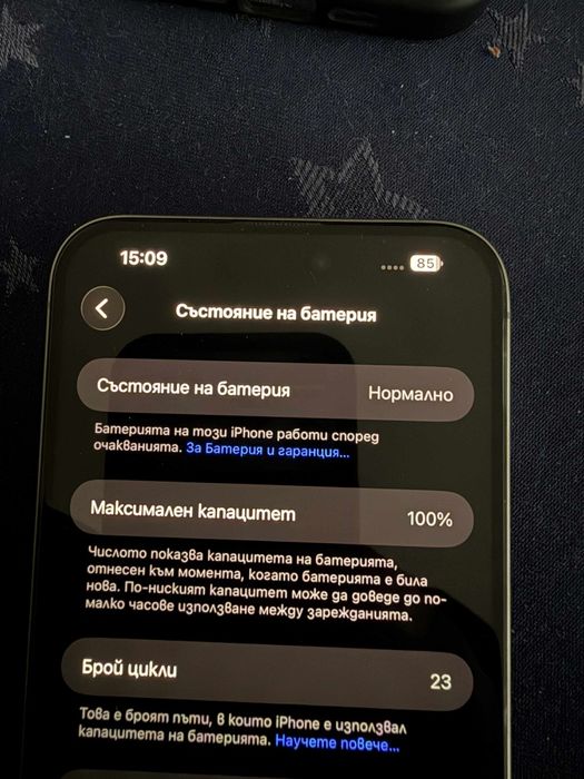 Iphone 15 Pro Max 256 GB 100%