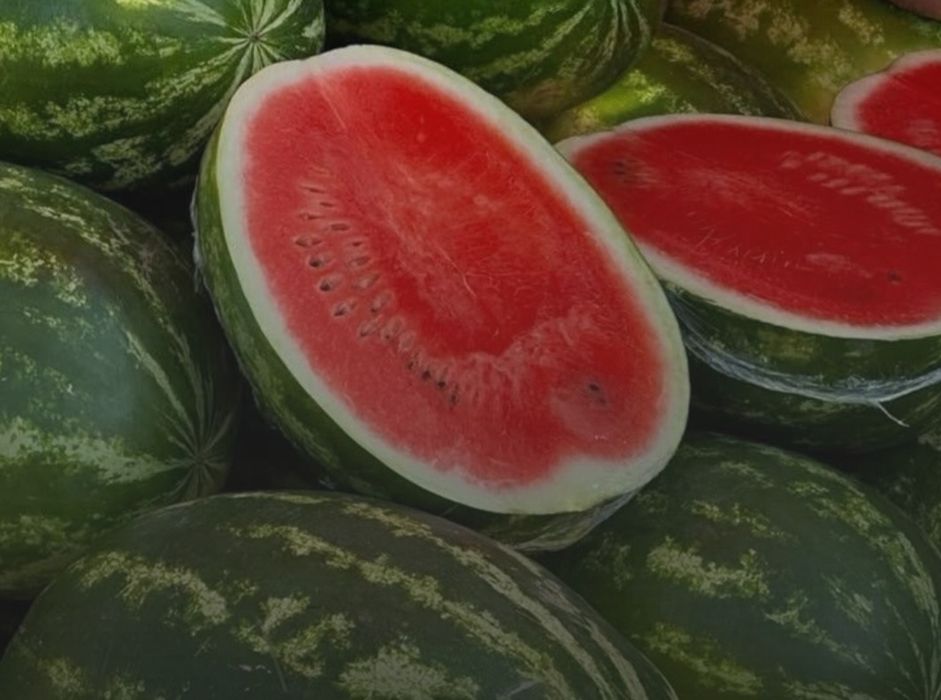 Продам лебяжинские арбузы