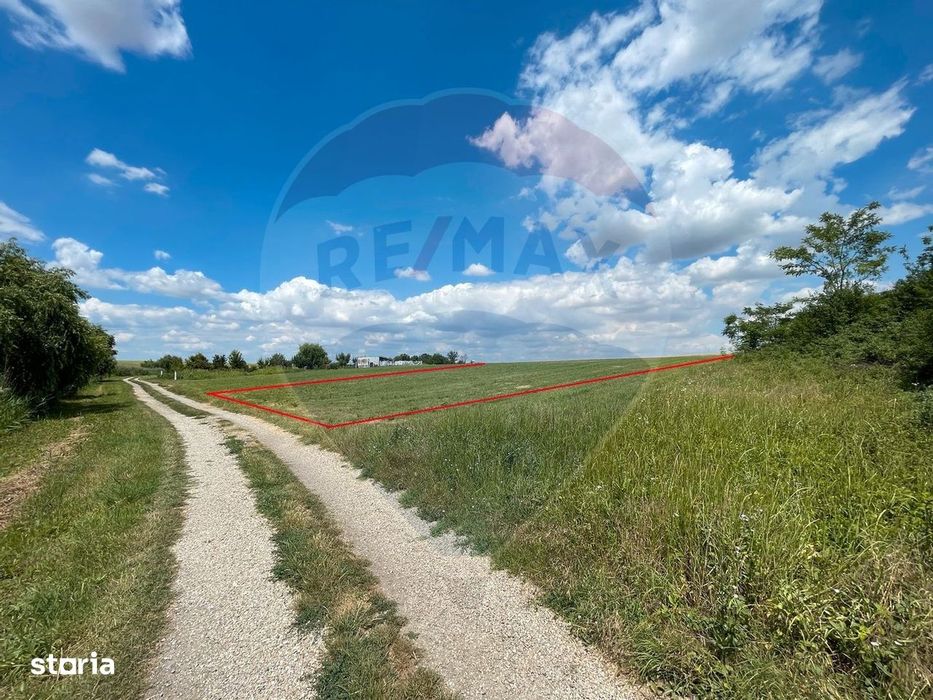 Teren 4.350 mp Balta Pasarea - 30 minute Bucuresti