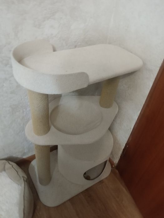 Лоток, переноска и тд.