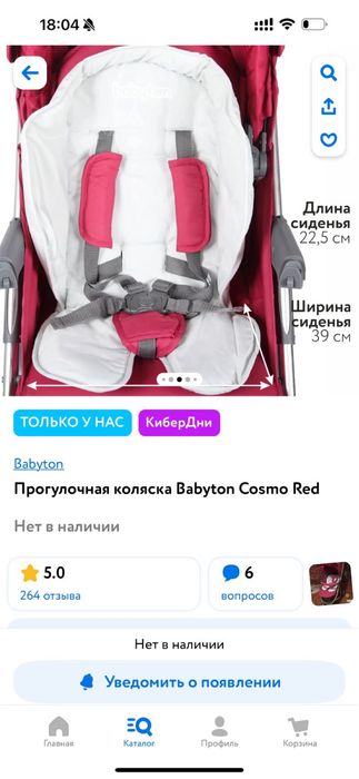 Коляска Babyton Cosmo Red