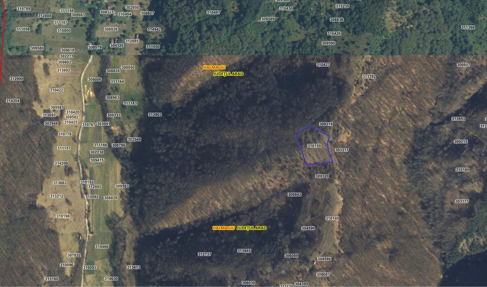 Teren in deal cu vedere panoramica sat Brusturi Com Halmagiu 7000 m2