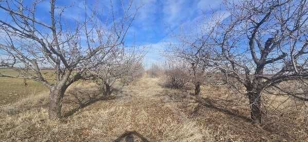 Земеделска земя в Китното селце Цалапица!