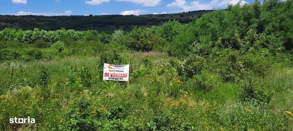 Teren Intravilan  Tomesti,Osoi,2800 Mp - 49.500 Euro