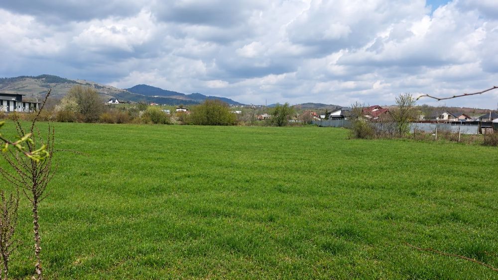 Teren intravilan 3.187 mp, strada Pacurari, mun. Moinesti
