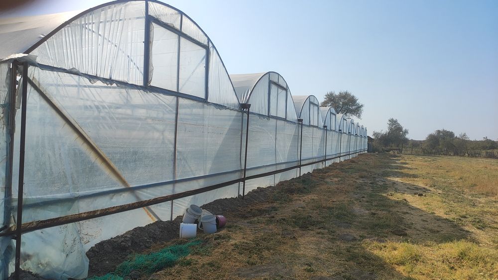 Теплица Жылыжай сатылады