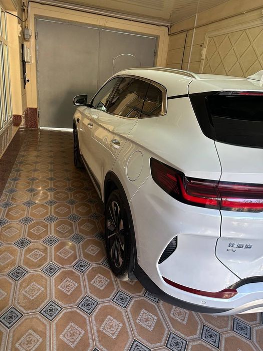 BYD Chempion Smart 2025