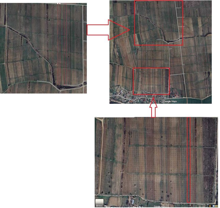 Vand suprafata de 9100 mp cultivata cu vita de vie