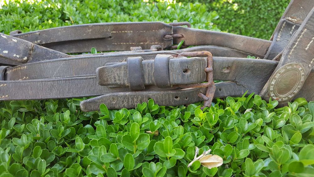 Френска артилерийска юзда – Първа световна война