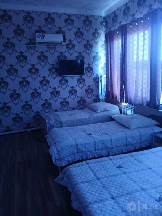 Hostel Navoida arzon tozza bezaks quyilmaydi