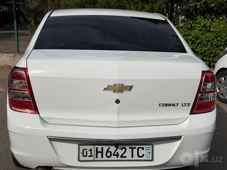 Cobalt 2025 Arenda s vikupom ham bor