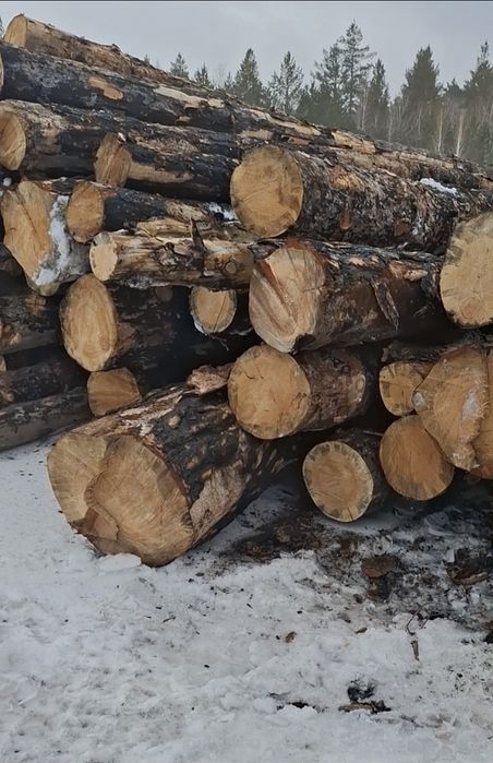 Продас лес кругляк