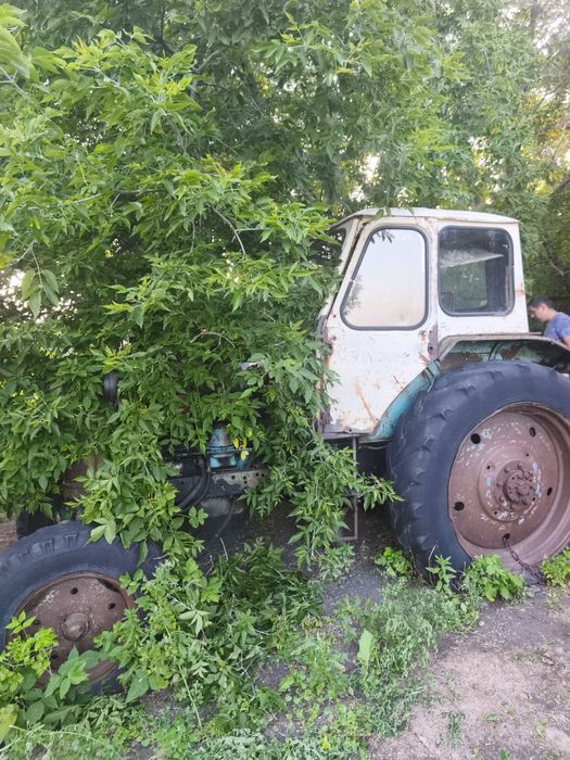 Продам ЮМЗ на ходу.