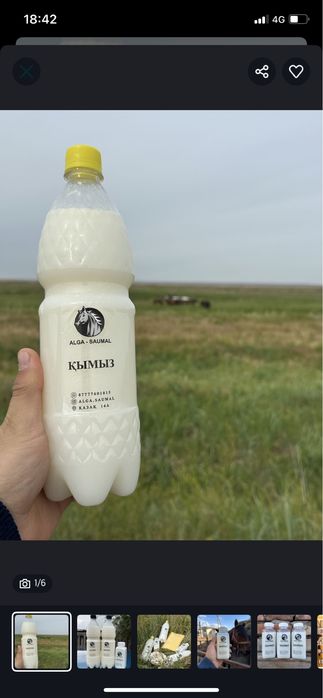 Кымыз Саумал Бие сүті