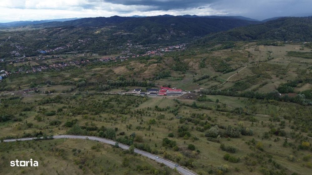 Teren 8.043 mp la DN73C Berevoesti – 3€/mp! Oportunitate rara