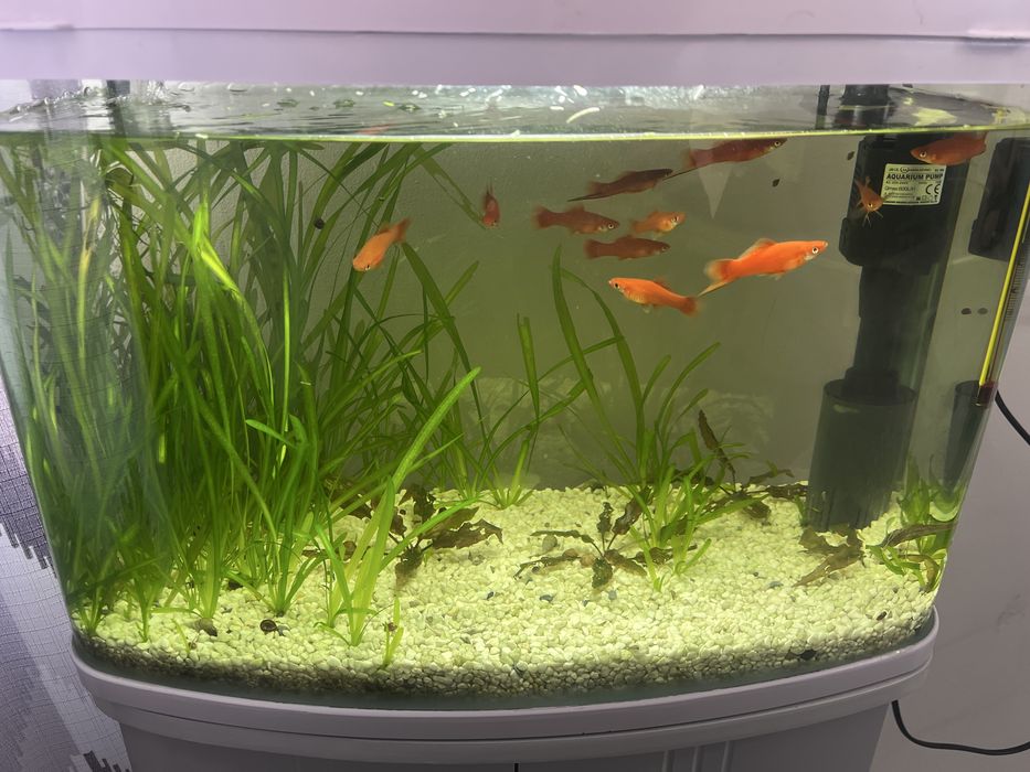 Аквариум с тумбой 30 литров