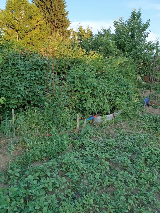 Дача в пос. Новая-Бухтарма