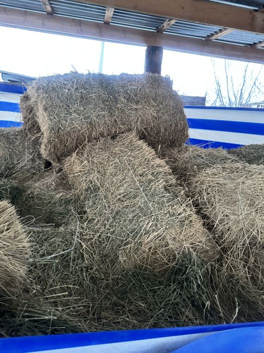 Шөп сатылады пішен және жоңышқа