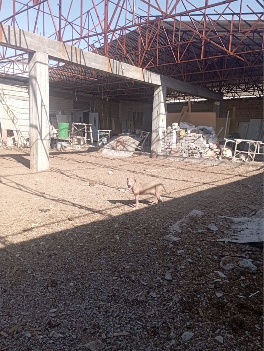 Продаётся зем участок 12,4 Кибрай 4,5 км от ТТЗ, Корзинка.