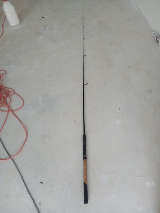 Undita din carbon