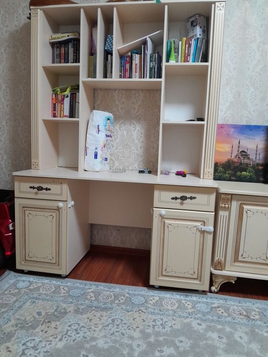 Письменный рабочий стол-шкаф для студента