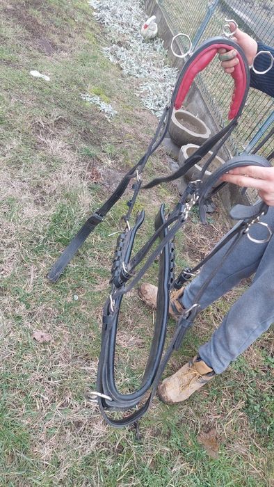 Vând o pereche de hamuri foarte frumoase purtate Foarte puțin