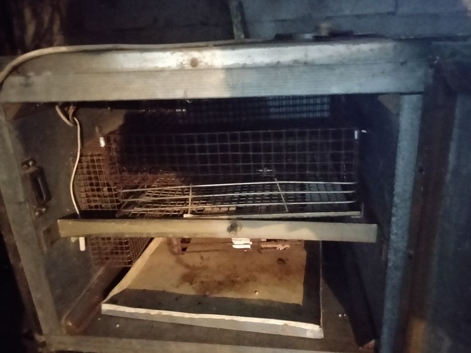 Прода  инкубатор