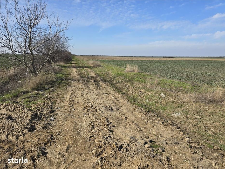 RECO Teren in Oradea