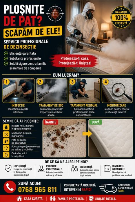 Dezinsectie plosnite