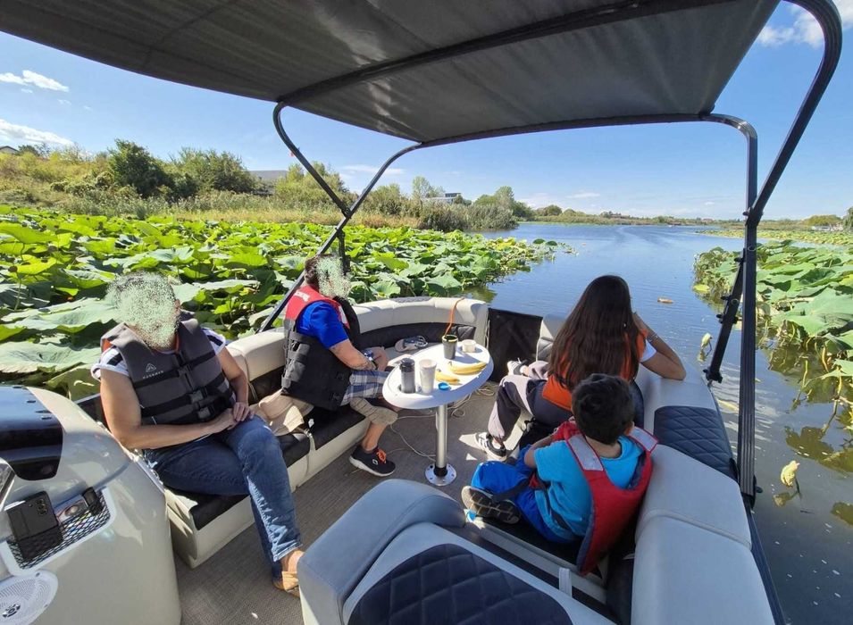 Catamaran/Ponton/Party Boat/Familly Boat