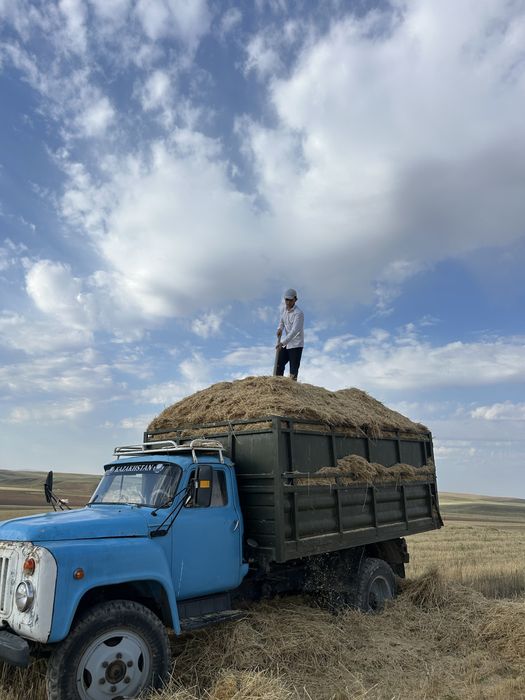 Мақсары сабан майдасы