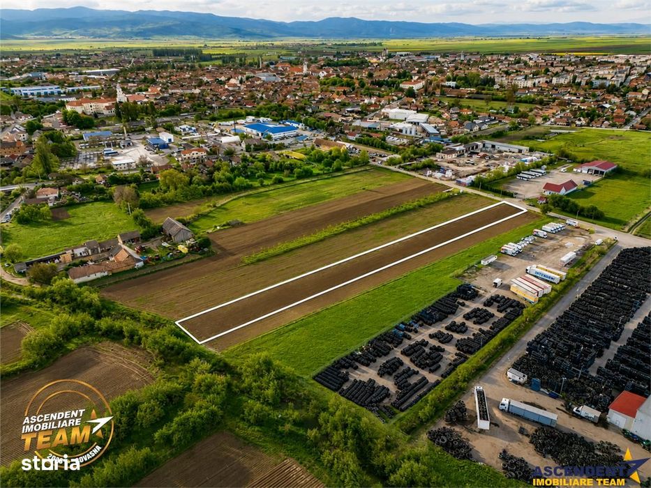 FILM! 5.000 mp teren, la marginea orasului Targu Secuiesc, aria indust