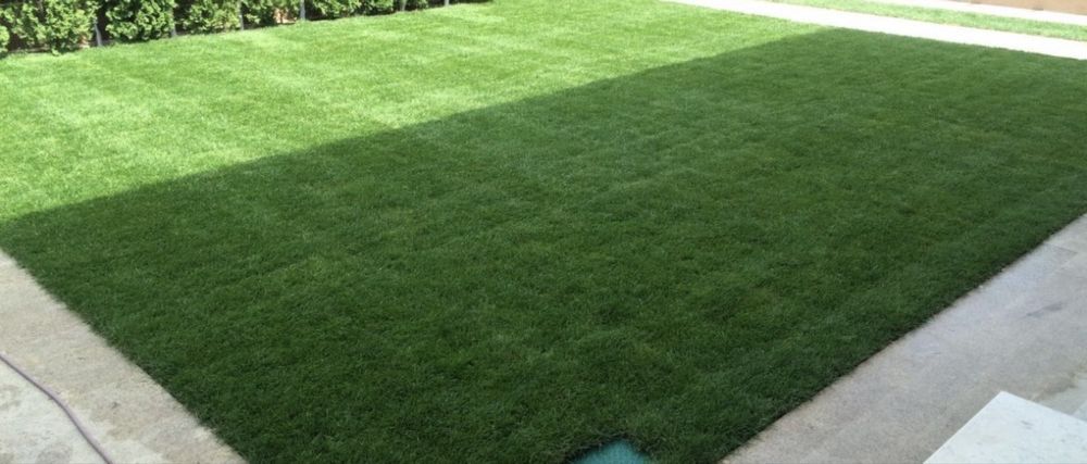 Gazon rulou proaspat- ideeal pentru curte si gradina
