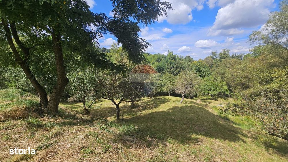 Teren intravilan | 4840 mp | Casă + Anexe | Utilități | Sohodol | Bran