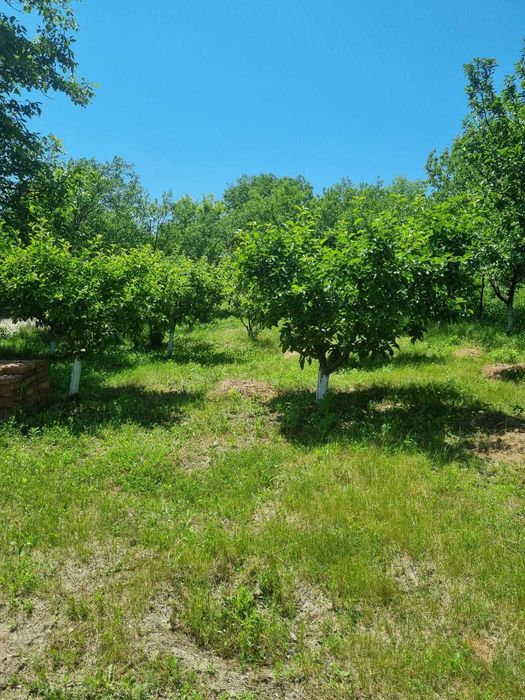 Casa P+M, direct proprietar, teren 2093 mp