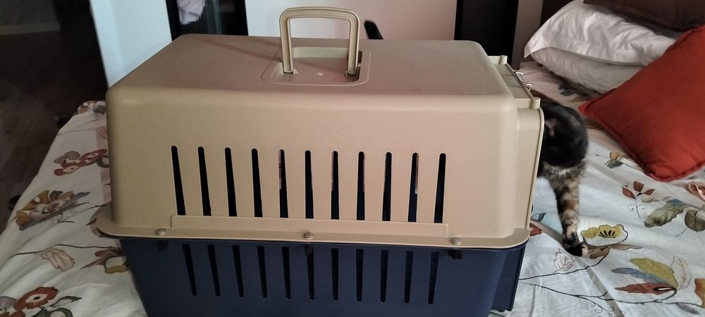 Продам авиабокс для животных
