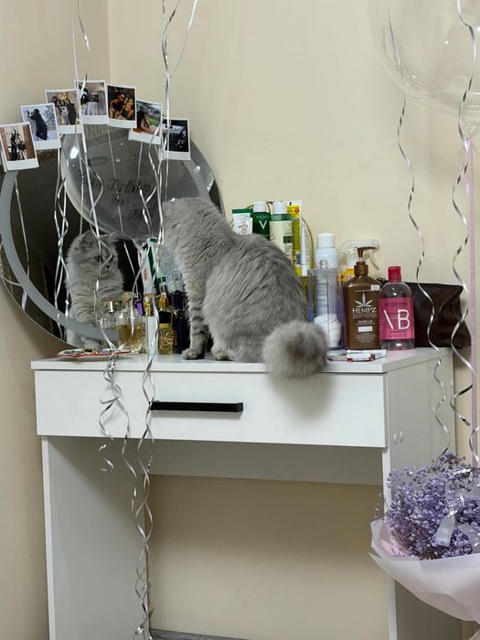 Косметический столик