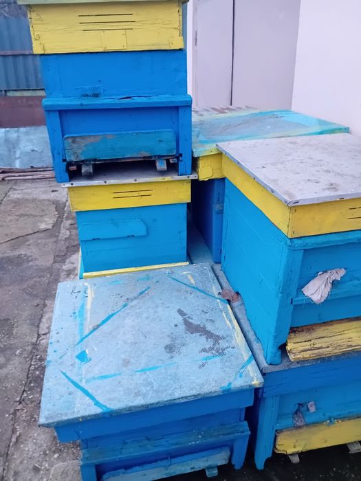 Продавам  кошери без семейства -12 рамкови