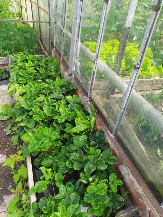 Продам частный дом