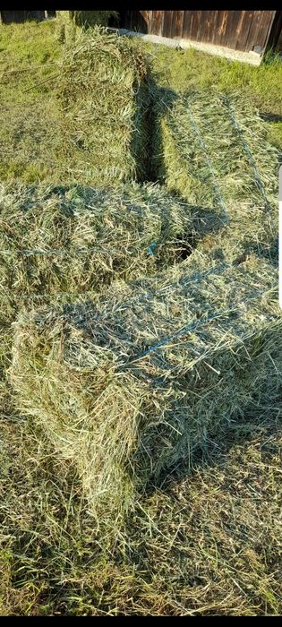 Vând baloți fân și otavă