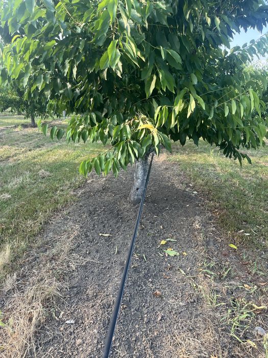 Парцел ( земеделска земя , имот ) в землището на с.Брестник .