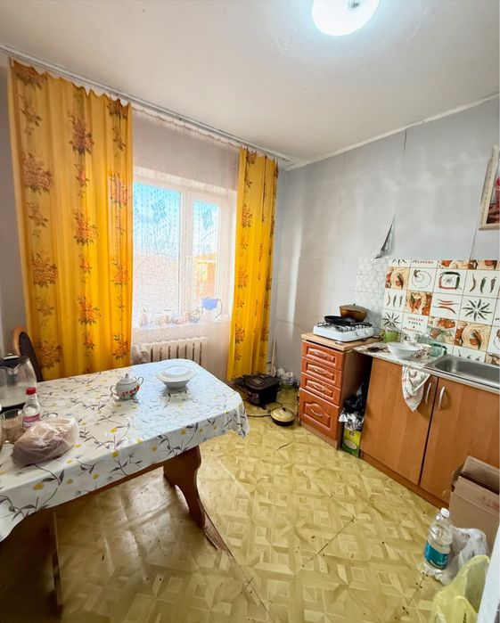 Зеленый бор. Сарыарка 10