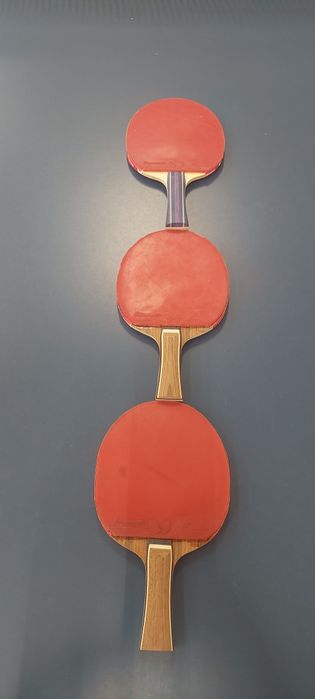 Palete tenis de masa Butterfly Dignics 09C=250 RON