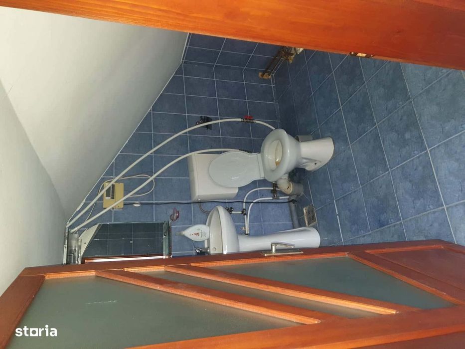 VADU Moldovei Suceava- Locuinta, Anexe, Magazin, Depozit si Teren