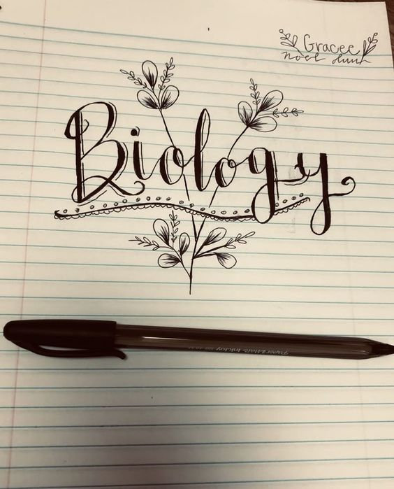 ofer meditatii la bio pt clasele V-VIII