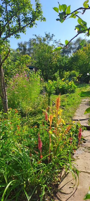 Продам дачу 7.5 соток район телецентра