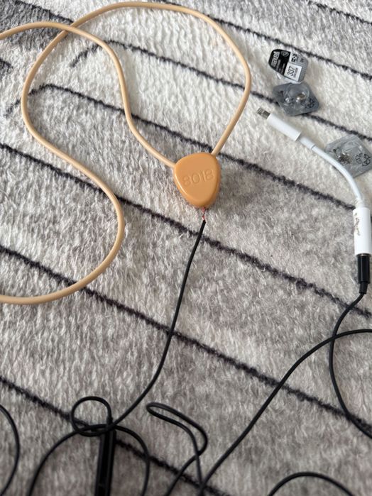 Бръмбар за преписане