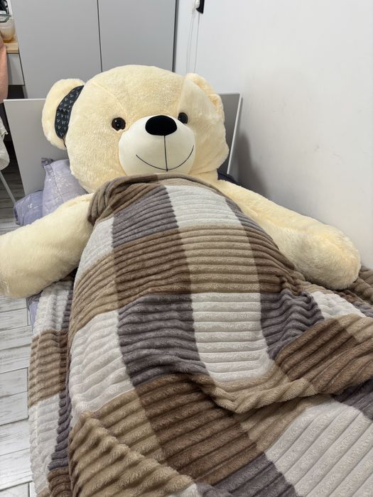 2 метровый медведь