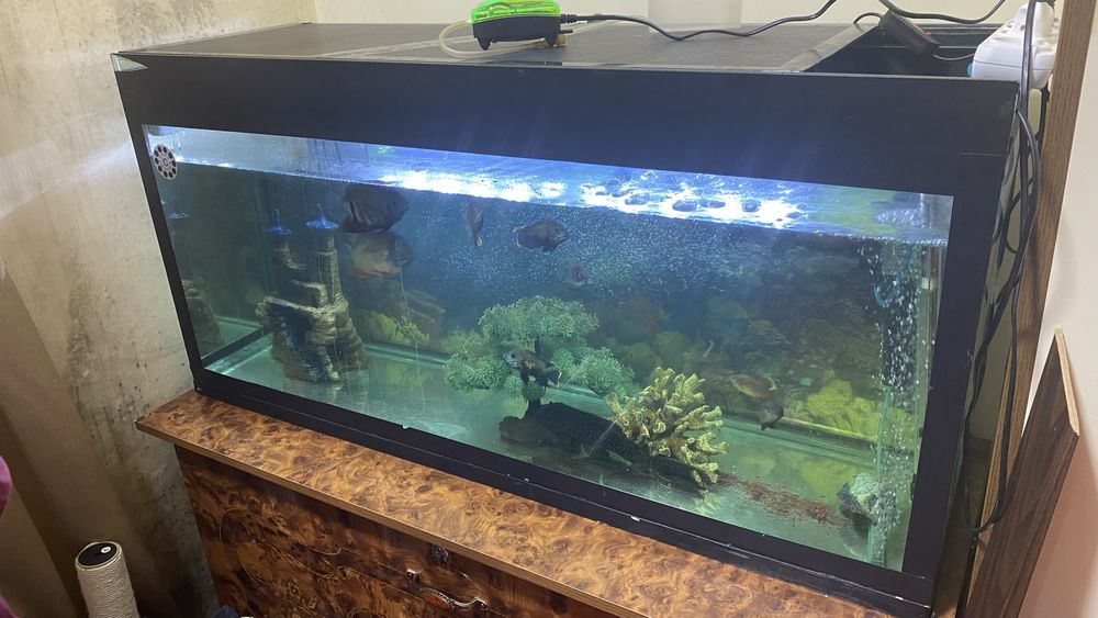 Продам комплект аквариум с рыбами в комплекте